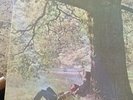 JOHN LENNON/PLASTIC ONO BAND LP NM VINYL 1st Press White APPLE Label EX COVER