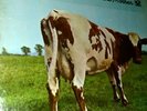 PINK FLOYD Atom Heart Mother 1970 SKAO-382 **TRUE 1ST PRESSING** SHRINK STICKER