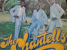 Chantells,the-Waiting in the park Reggae Rasta Jamaica