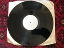 QUEEN ADREENA TAXIDERMY WHITE LABEL RARE KATIE JANE GARSIDE UNPLAYED MINT COND.