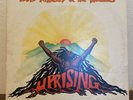 Bob Marley & The Wailers Uprising Vinyl 1980 Record