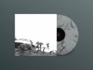Timber Timbre - Hot Dreams / Vinyl LP limited edition on SMOKE