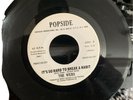 RARE Funk Soul 45 The Webs Give In / It’s So Hard To Break A Habit PopSide VG-
