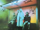 Wolf Alice - Blue Weekend - Transparent Red Vinyl & Signed 12x12