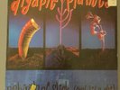Digable Planets Rebirth Of Slick Cool Like Dat 12” Vinyl Record Import England