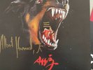albert hammond jr self titled SIGNED Vinyl