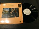 Flood The Rise of In Shrink - Rare Heavy Rock Psych (RE) Maple Records LP EX+