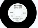 Jaycee Hill 45 Love So Fine/Romp Stompin Boogie EPIC M- promo rockabilly 341
