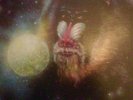 ZERBINO-LP 