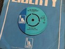 The Idle Race - The Skeleton And The Roundabout 1968 UK 45 LIBERTY PSYCH - MINT