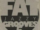 Various Fat Jazzy Grooves 5 vinyl 12 .7900.