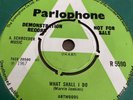 Artwoods - What Shall I Do. 1967 UK Parlophone DEMO. EX- Condition