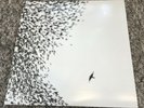 Wilco - Sky Blue Sky - 2LP Vinyl with CD - EX