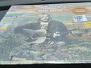 TOM PETTY Angel Dream Cobalt Blue Vinyl 2021 RSD Record Store Day