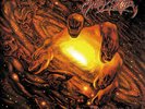 Angel Corpse - The Inexorable (12