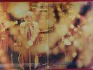 PROG/BLUES ROCK-STEAMHAMMER-STEAMHAMMER-UK CBS G/F REFLECTION LP 1ST PRESS
