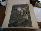 RUDIMENTARY PENI - Cacophony - Lp - 1988 w/booklet and EFA on back cover