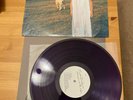 Phoebe Bridgers Stranger in the Alps Purple Vinyl Limited Sold Out Newbury Comic