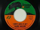 70s Soul 45 - Blood Hollins - Don't Give It Up - Strange Fruit - VG++ mp3