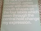 Aphex Twin: Promotional Item Vinyl 2x 12