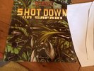 bad company - shot down on safari - 4x12