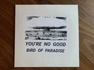 NEW Terry Riley YOU'RE NO GOOD/BIRD OF PARADISE early works for tape/electronics