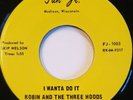 Robin And The Three Hoods I Wanna Do It - The Marauder -  Rare Garage 45 - HEAR