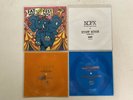 Fat Music for Riot Fest People #2 Flexi Disc Set NoFX Strung Out Pears