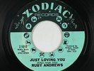 Northern Soul 45 - Ruby Andrews - Just Loving You - Zodiac - mp3