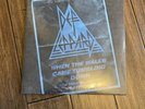 DEF LEPPARD When the Walls Came Tumbling Down Vinyl 2021 RSD Record