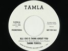 Northern Soul 45 - Tammi Terrell - All I Do - Tamla unofficial - VG++ mp3