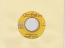 GODFATHER/ THE ROVING KIND - THE DARK SHADOWS (70s REGGAE ROOTS 7