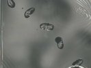 Peter Gabriel, Up 200g 2LP + 7