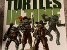 Teenage Mutant Ninja Turtles In Time Vinyl Record Soundtrack NES Not Moonshake
