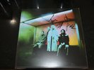 SIGNED: Wolf Alice Blue Weekend Transparent Red Vinyl Record LP + 12x12 COA