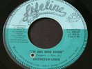 Brewster Crew   I'm One Who Know / Outta My Life   Lifeline   70's sweet soul 45