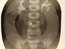 Gene Vincent -Wild Cat  X-RAY OF THE USSR X-RAY BONE RECORD