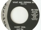 HARRY DEAL What Am I Gonna Do ECLIPSE  NORTHERN SOUL  BEACH USA 45