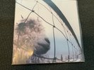 PEARL JAM VS. 2011 Sony/Legacy Pressing Vinyl record
