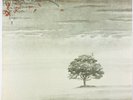 Genesis: Wind & Wuthering 180g 2007 Rhino Audiophile ?? Vinyl Record LP NM M-