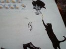 Amon Duul 2, only human,vg+/vg,w/insert,prog,kraut,space rock