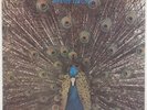THE LA4: Pavane Pour Une Infante Défunte East Wind Audiophile LP