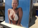 Aphex Twin   Windowlicker    12”   1st Press   OG   1999   Electronic   Warp