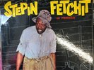vintage comedy album Stepin Fetchit