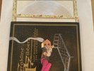 The Geraldine Fibbers ?– Lost Somewhere Between The Earth And My Home Mint 2lp
