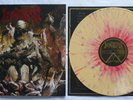   Incantation ?- Profane Nexus LP limited coloured vinyl Macabre Kataklysm  