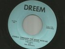 ROCKABILLY bw TEEN- TOM HILL & ROCKETS- STROLL THROUGH THE NIGHT-HEAR-1959 DREEM