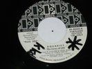 PSYCH 45 - Cosmic Sounds - Mort Garson - Aquarius The Lover Of Life - PROMO