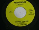 GARAGE PSYCH 45 - THE LOVED ONES - SURPRISE SURPRISE - AMBASSADOR - PROMO