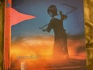 Doppel LP AMON DÜÜL 2 Yeti  Original Vinyl 70er
